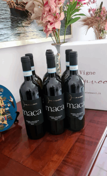 “Cartone da 6 bottiglie – Maca Bianco”